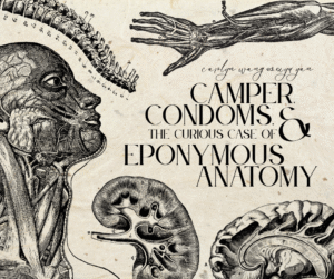 Title image reads " Camper, Condoms, and the Curious Case of Eponymous Anatomy"
