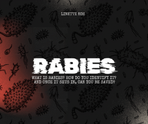 title image reads "rabies"