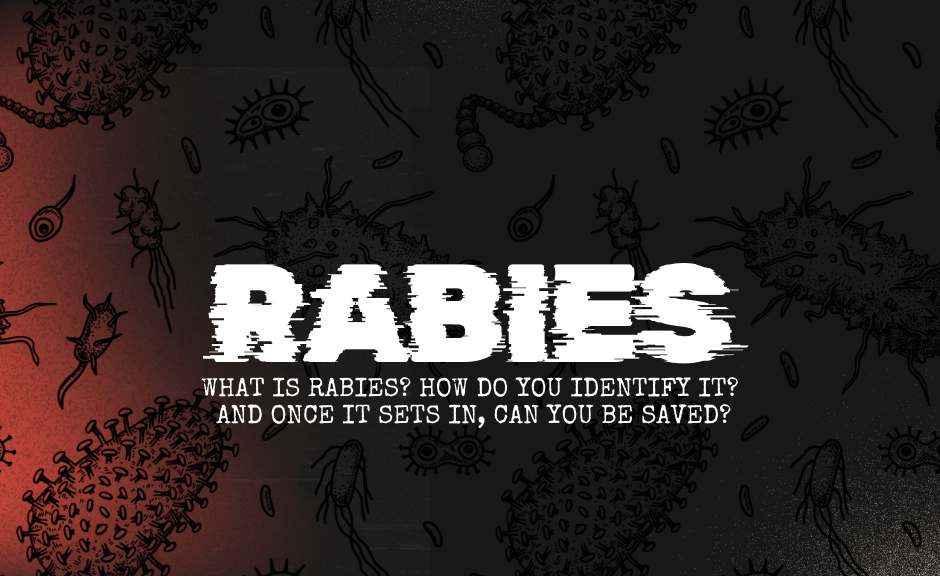 title image reads "rabies"