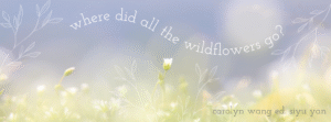 Picture of wildflowers with title "where did all the wildflowers go?"