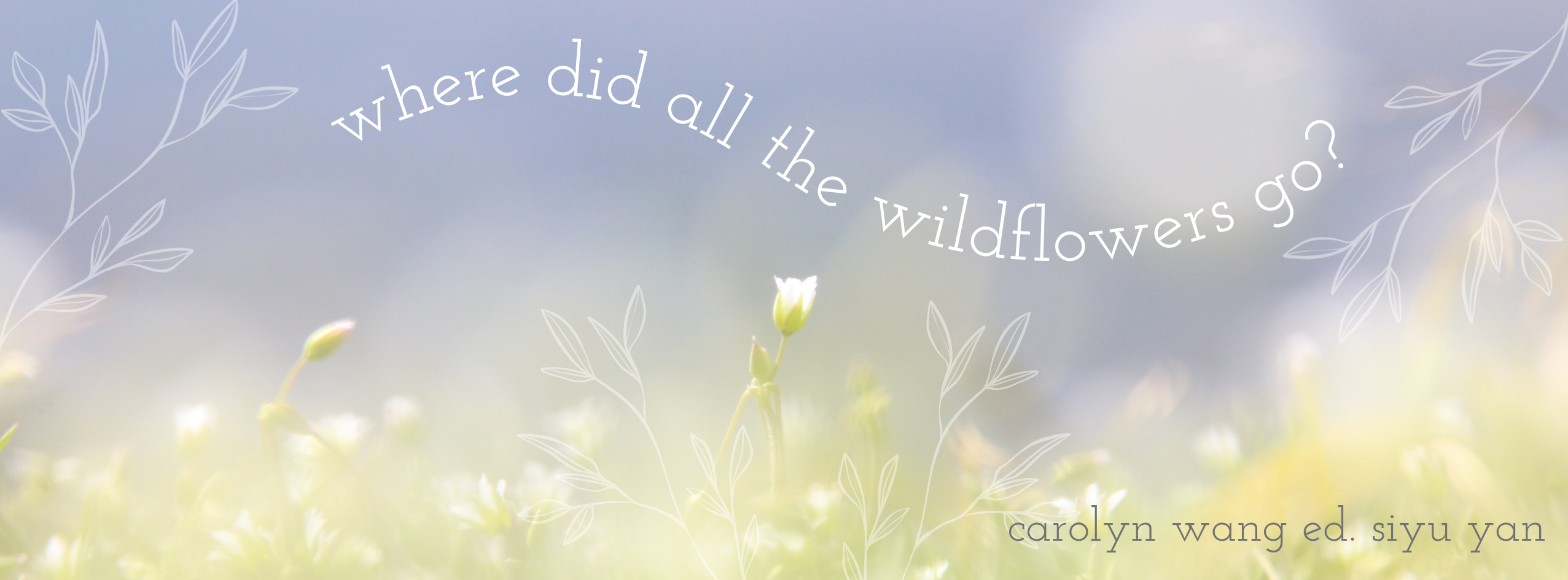 Picture of wildflowers with title "where did all the wildflowers go?"