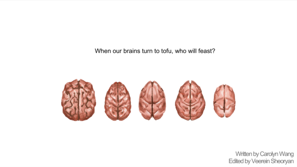Different shaped brains, decreasing in size from left to right, and increasingly resembling tofu