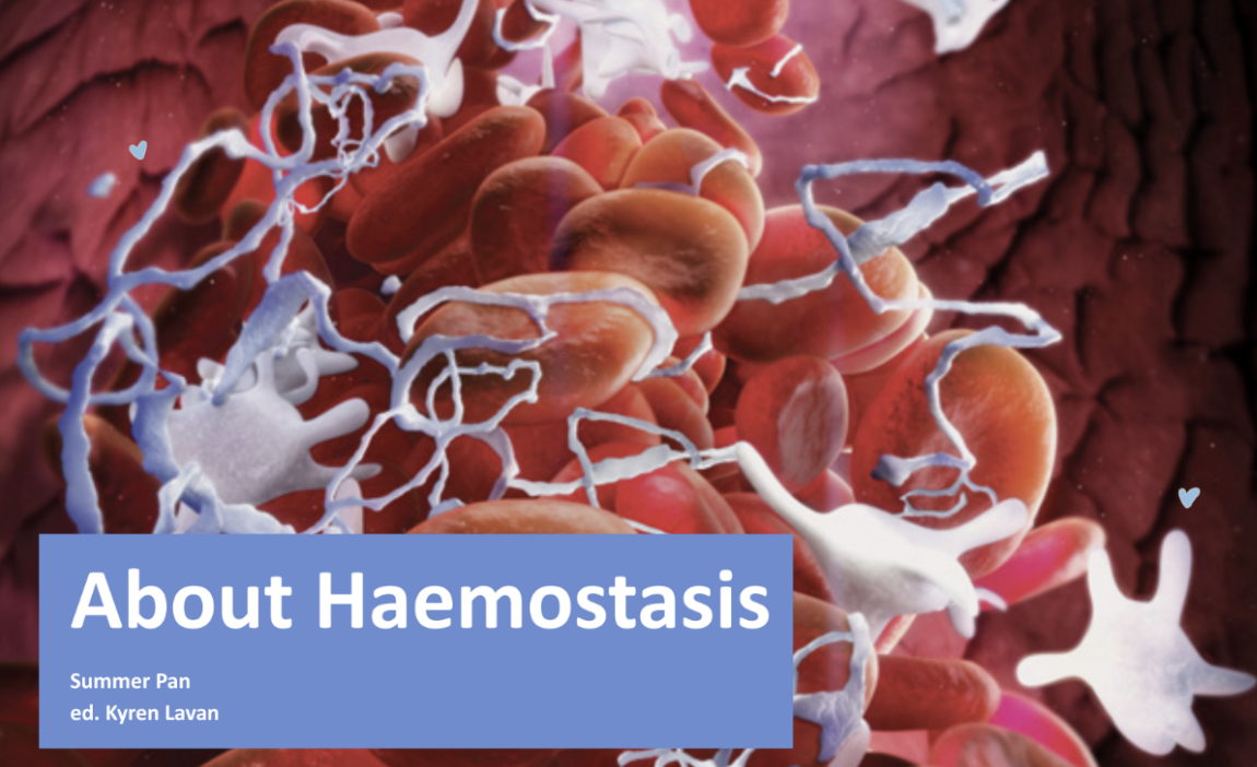 About Haemostasis